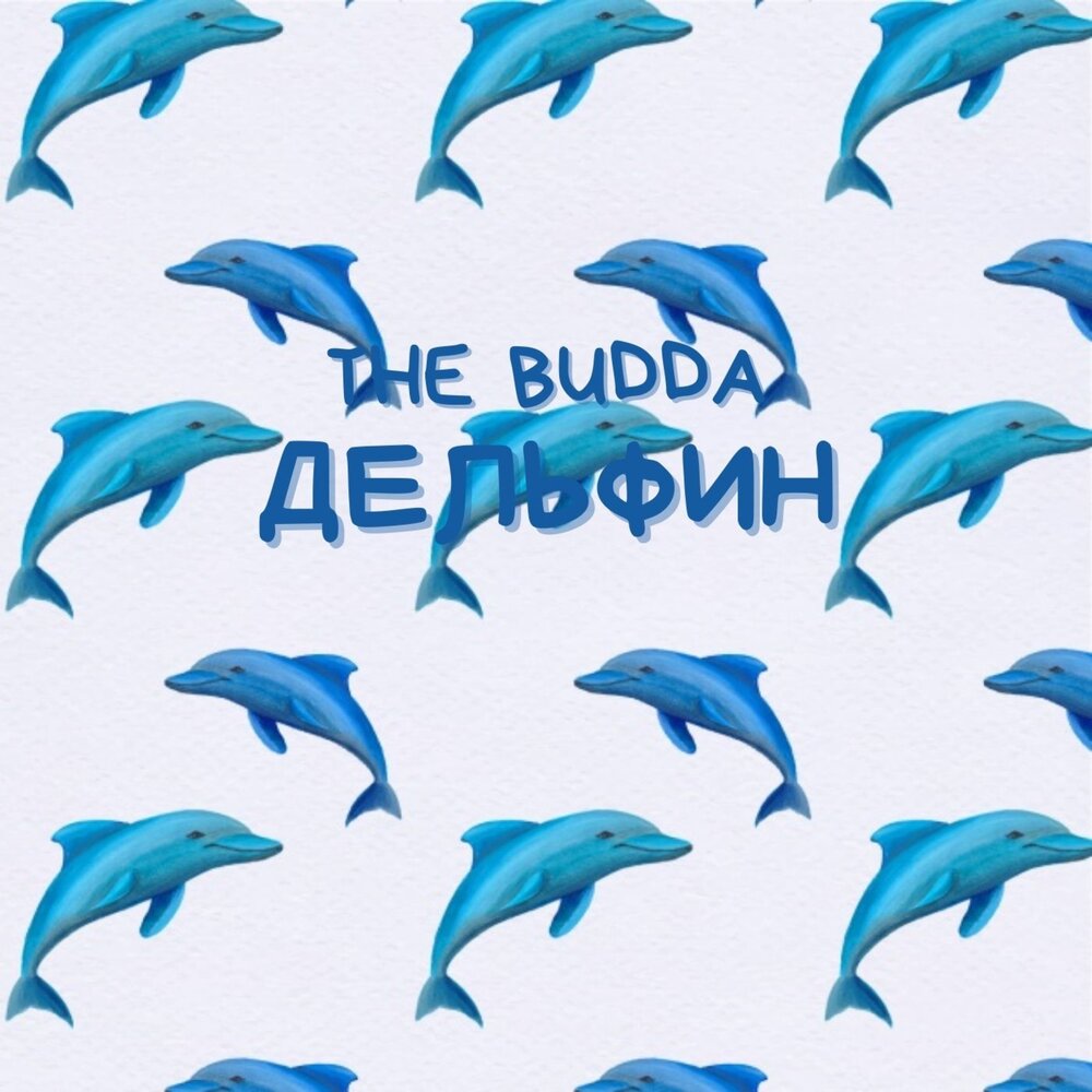 Дельфин на зеленом фоне