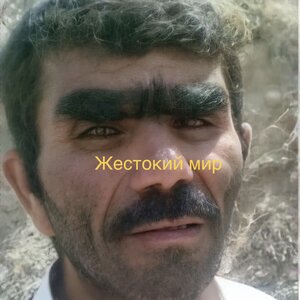 Жестокий мир