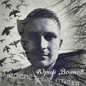 Перелётные птицы