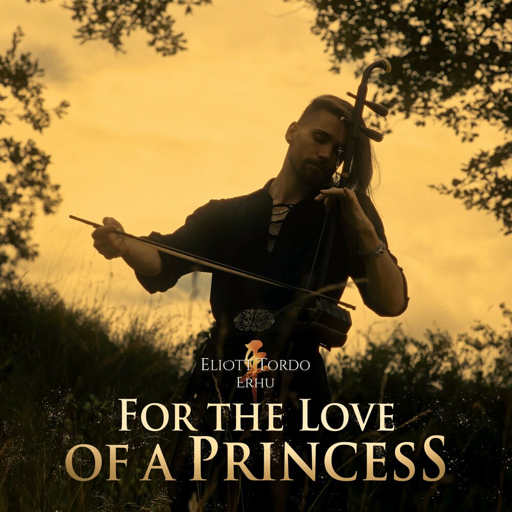 Эллиот тордо эру. Eliott tordo erhu фото. Eliott tordo erhu. Эллиот тордо. Eliot tordo.