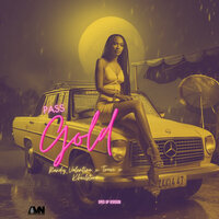 artist-cover