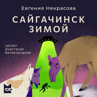 Аудио Евгения Некрасова. «Сайгачинск зимой»  