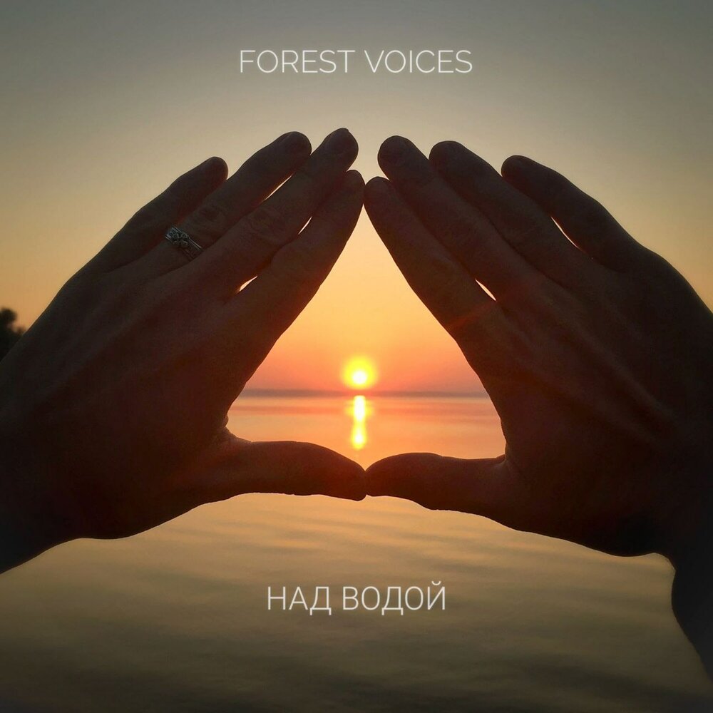 Forest voice