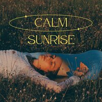 Porno hammaning mushukiga suriladi