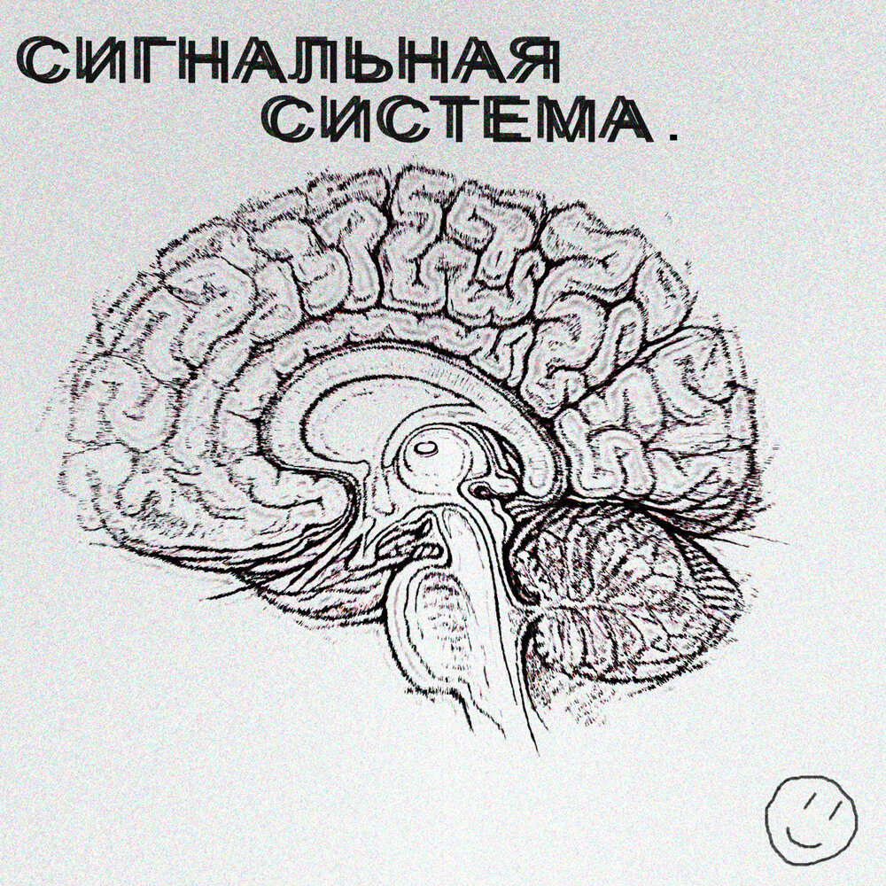 System listen. System of a down. Техно музыкальное направление. Dream system. System listen.