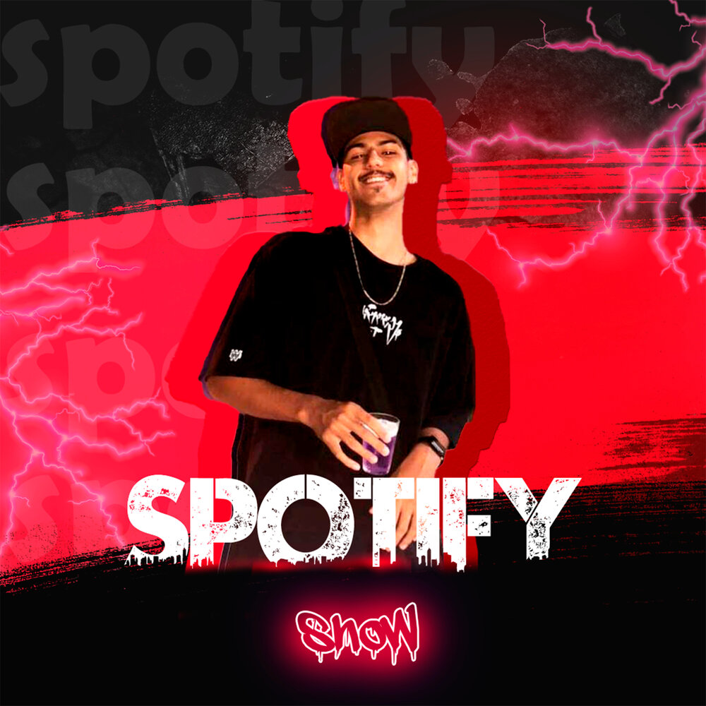 Spotify album. Spootify icon.