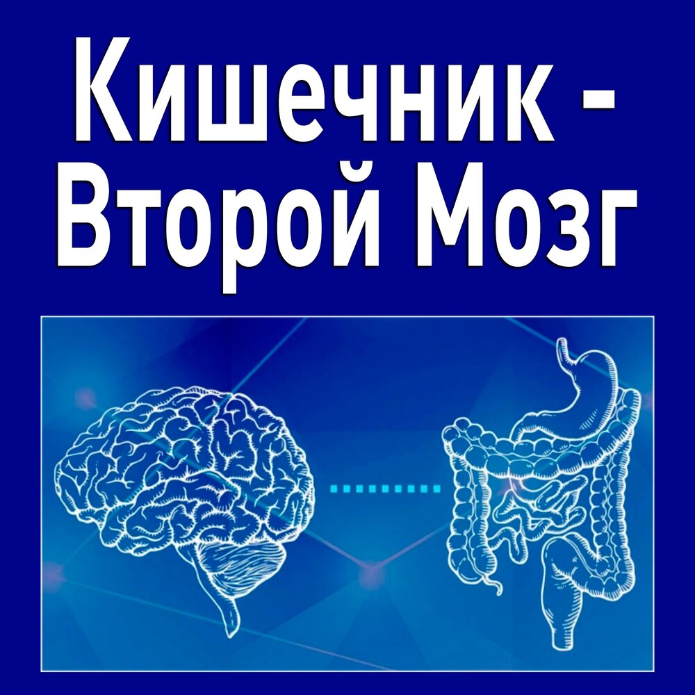 Кишечник второй мозг человека. Кишечник наш второй мозг.