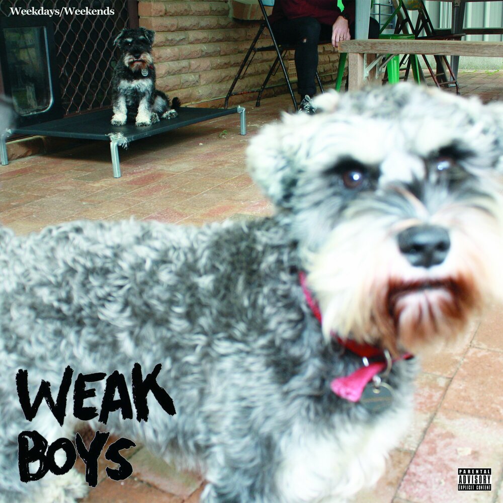 Weak boys. Weak boys. Слабый мальчик. Weak. Сильная личность рисунок.