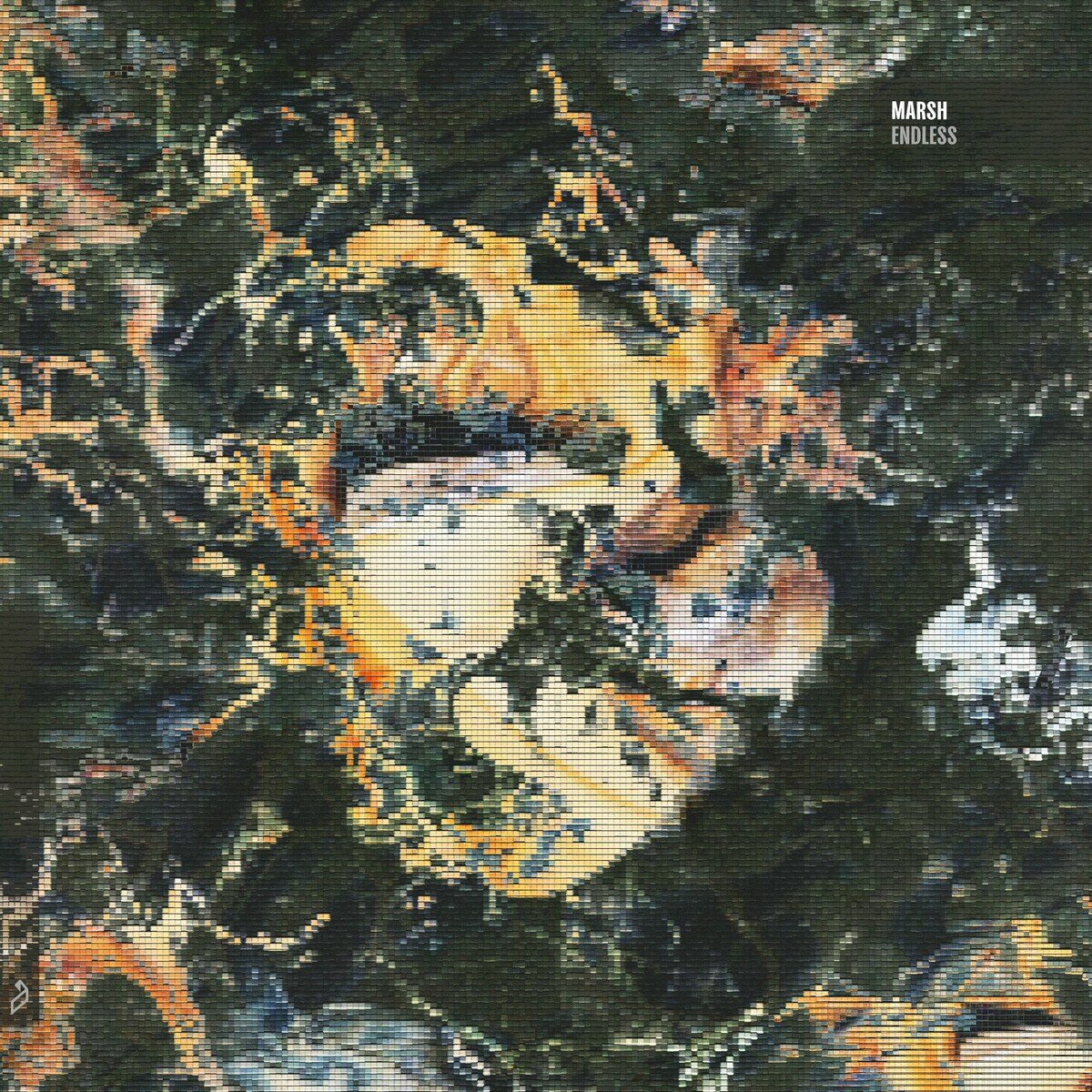 Marsh