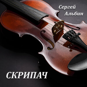 Скрипач