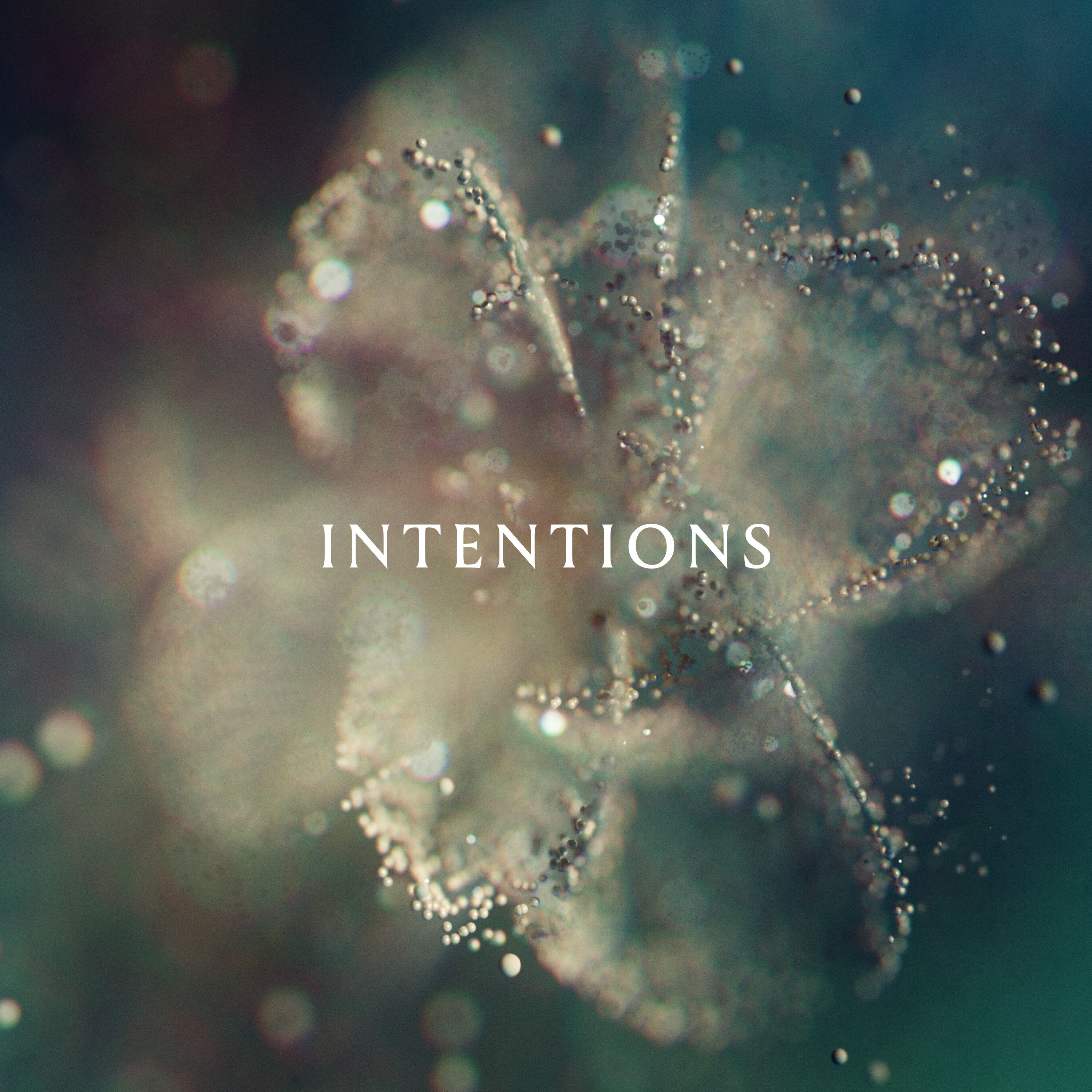Обложка релиза Intentions