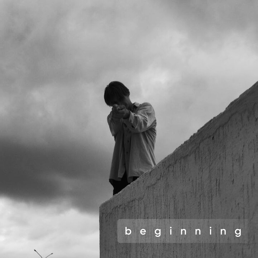 Альбом the beginning. Альбом the beginning