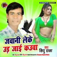 artist-cover