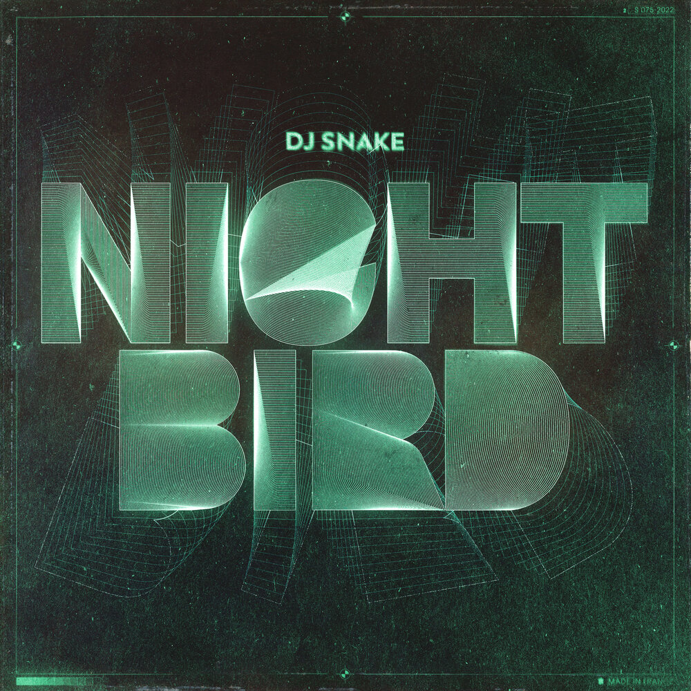 Snakes mp3. Nightbird. DJ Snake - Nightbird.