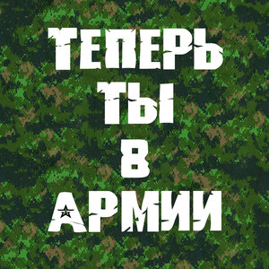 Теперь ты в армии