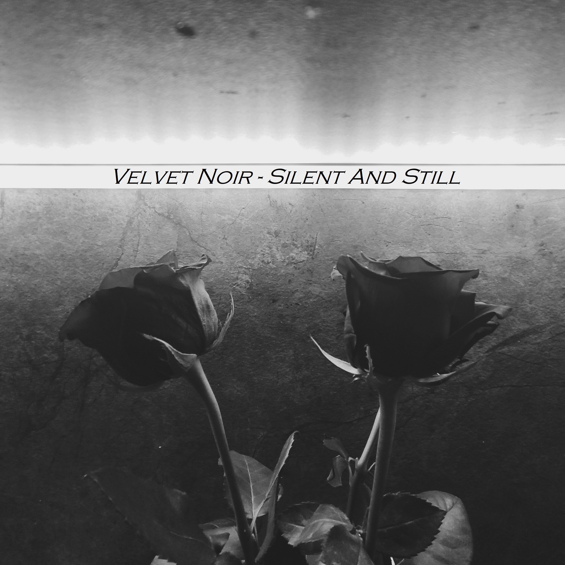 Обложка релиза Silent and Still