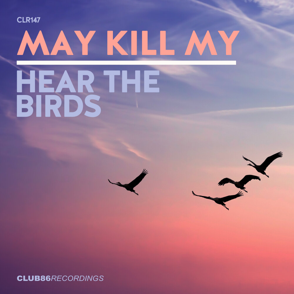 May birds. Kills Birds.