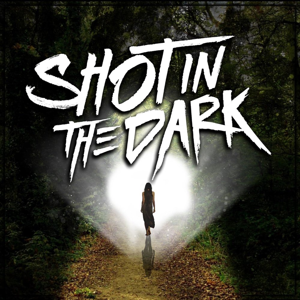 Shoot in the dark перевод
