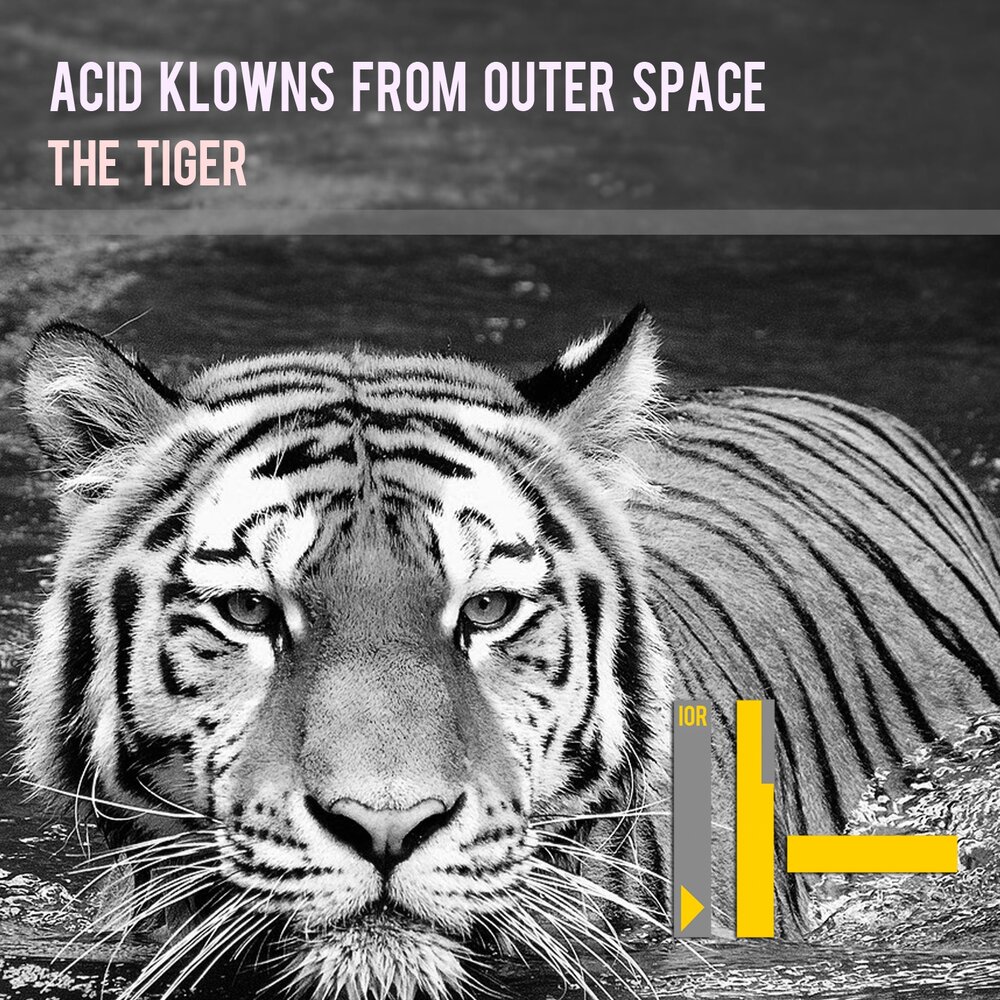 Тайгер слушать. Tiger Beat. Тигр слушает музыку. Acid Tiger. Ава для группы неон тигр текст.