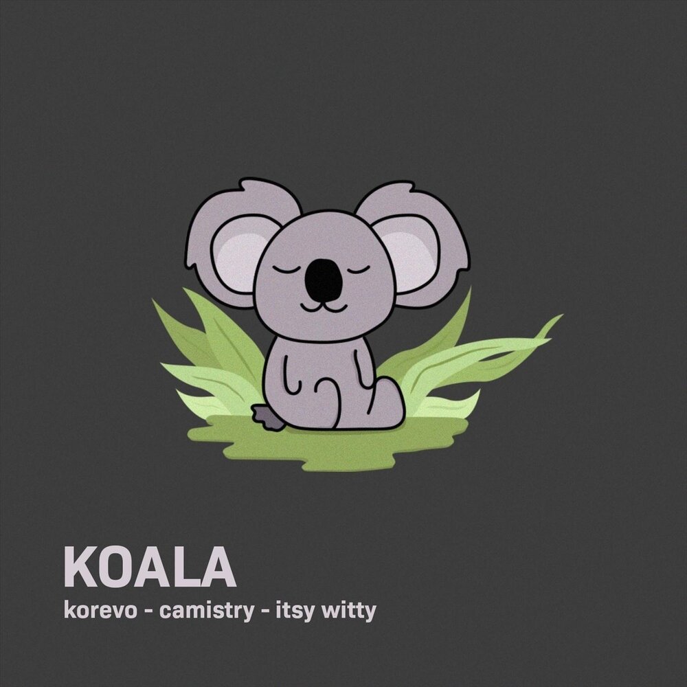 Koala music. Коала Минимализм. Коала фон. Милые обои на заставку телефона с коалой. Няшный коала.