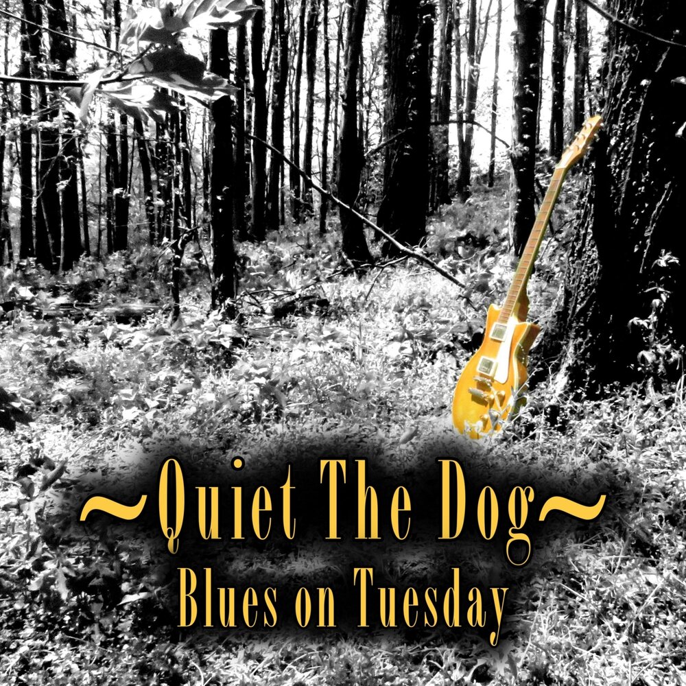 Dog blues. Quiet the Dog Blues. Quiet the Dog what Now. Quiet the Dog музыкант. Quiet the Dog Blues on Tuesday 2019.