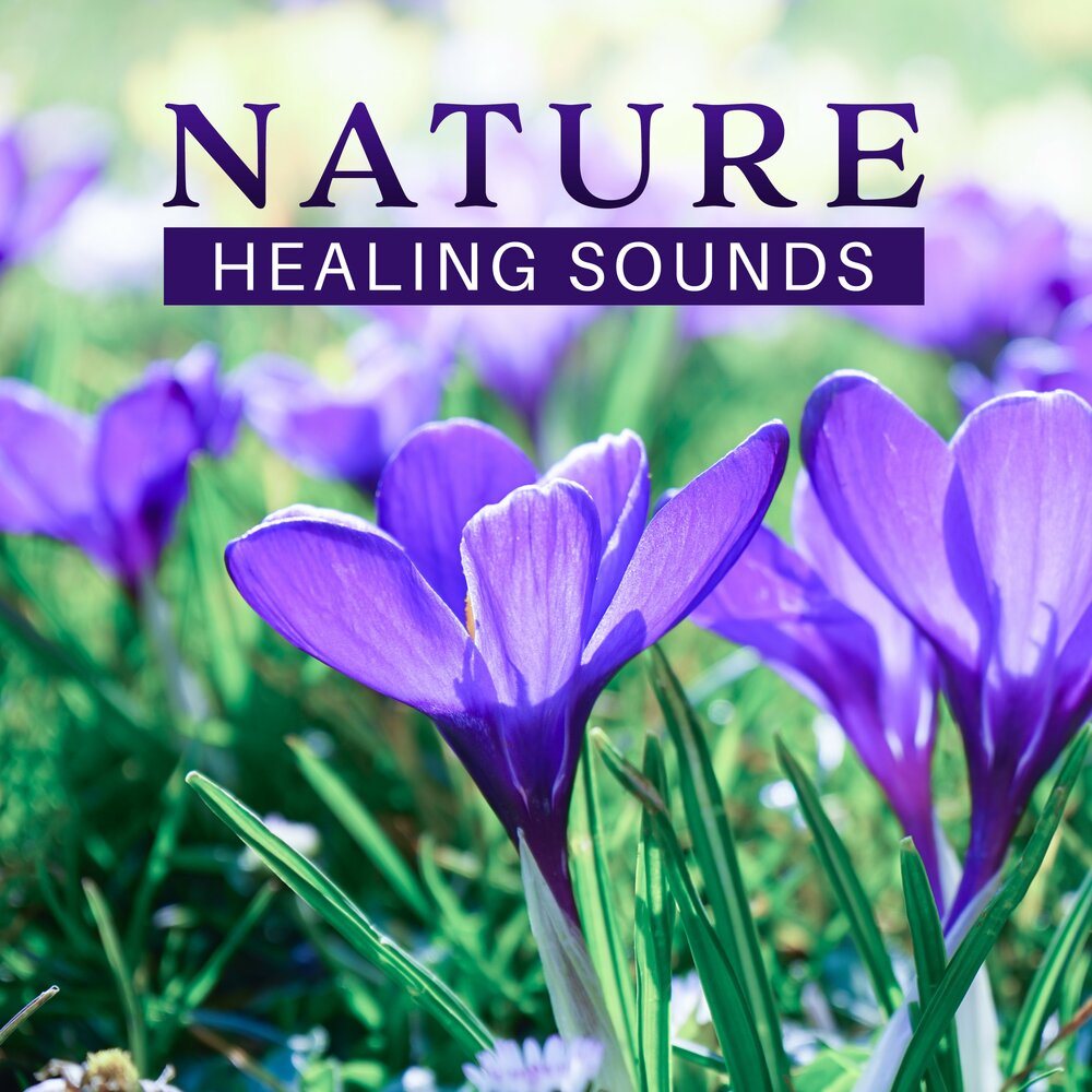 Naturals sounds. Natural Sounds.