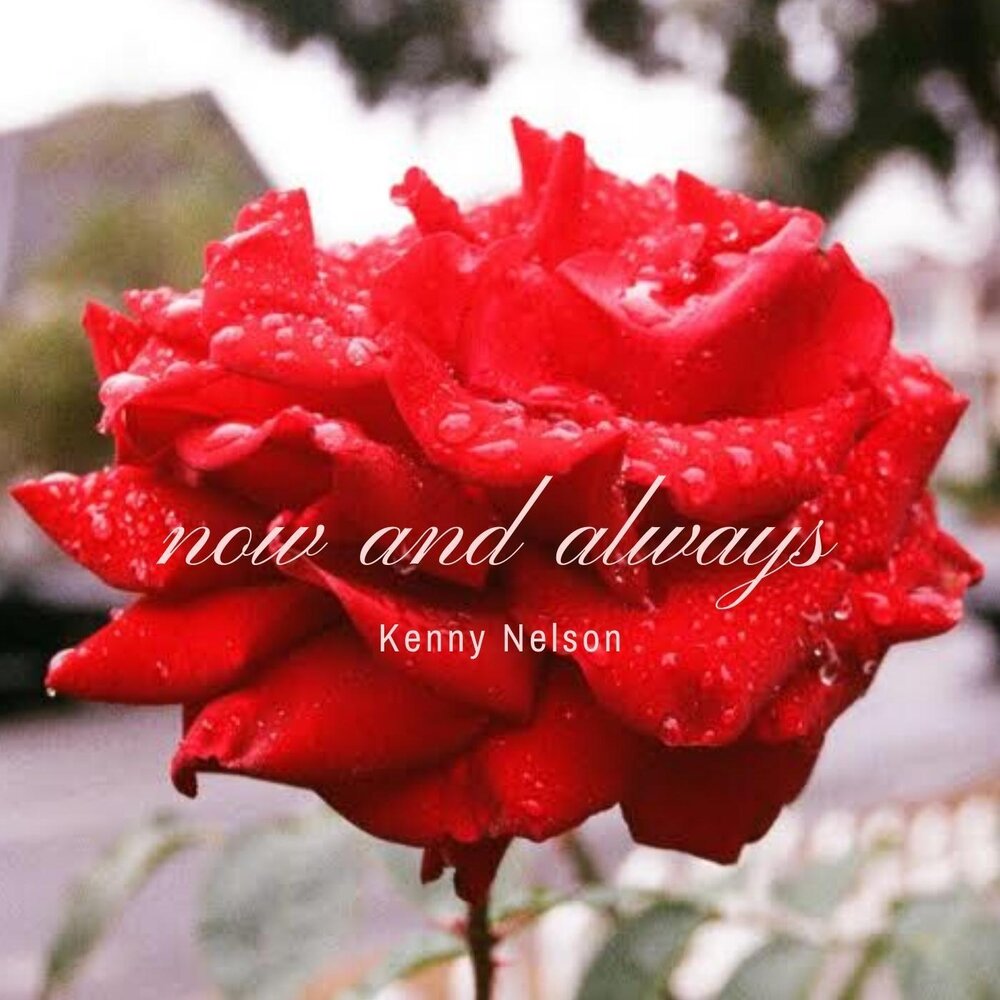 Now and always. презент континиус now at the moment. Now and always. Now and always. Now and always.