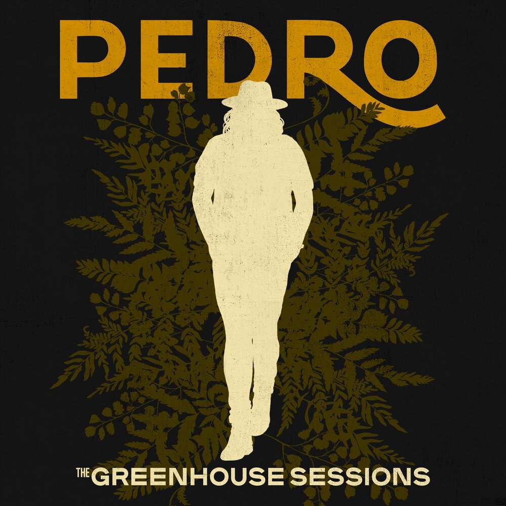 На каком языке песня pedro