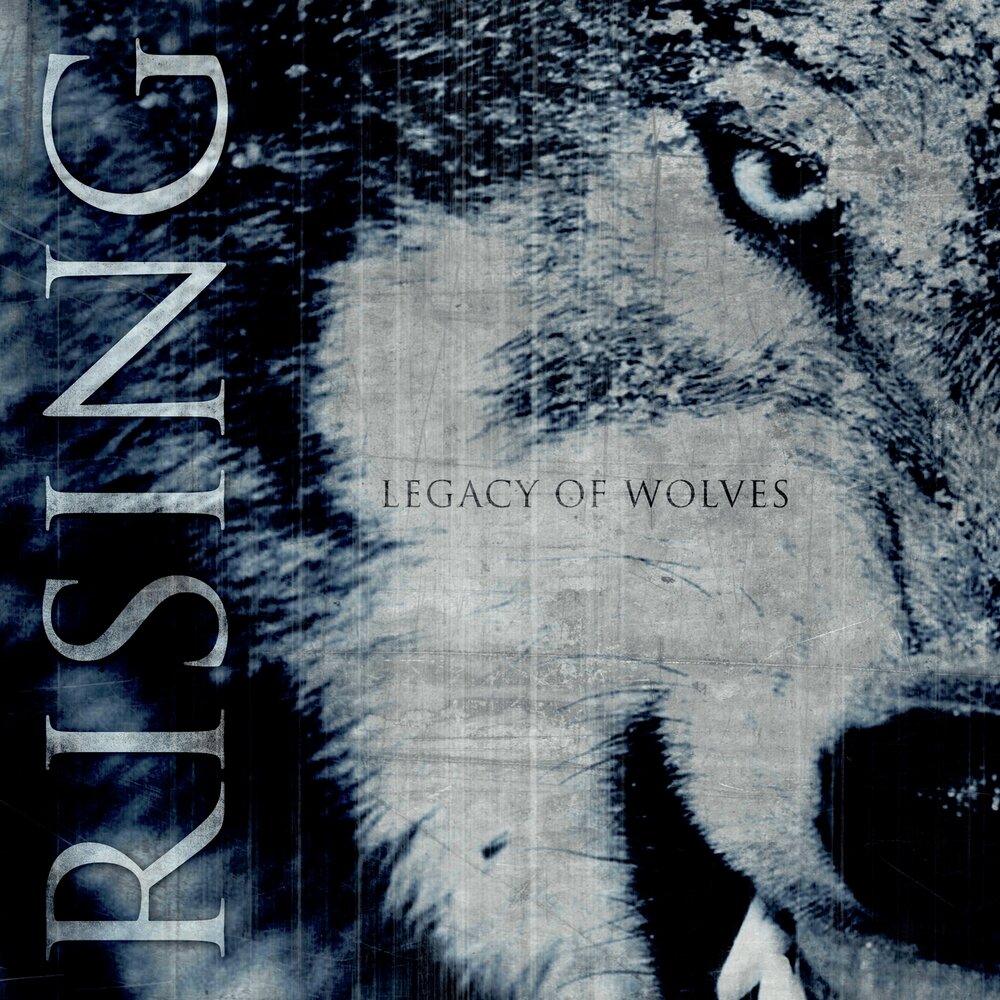 Seven wolves. Легаси волк. V Rising волк. Rise by Wolves водные. 2007 - Wolves.