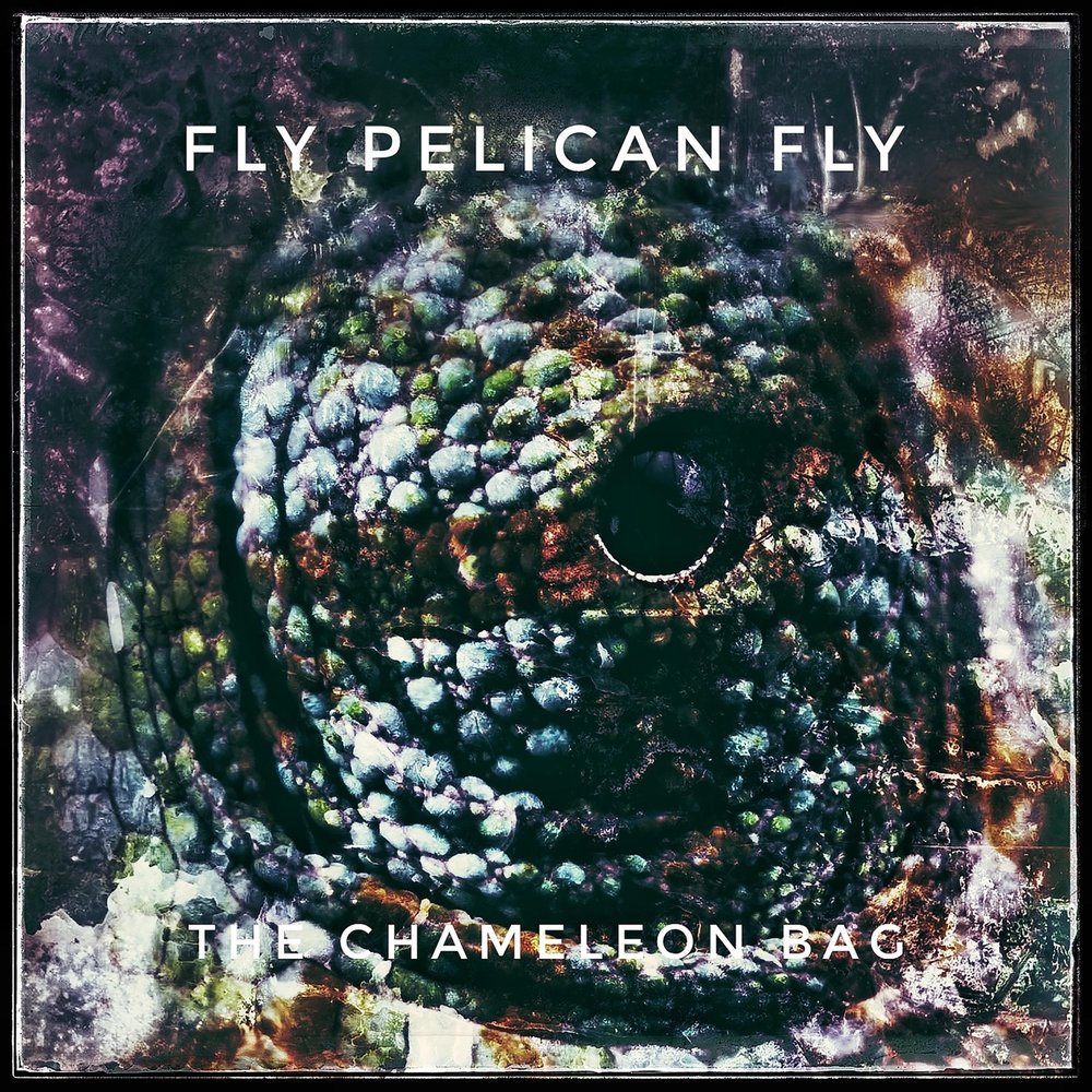 Fly your eyes. The Chameleon just close your Eyes & listen.