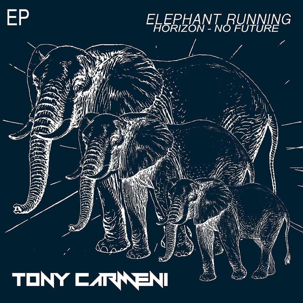 Elephant альбом. Elephant Music альбом. Elephant песня. Альбом слон в круге. An elephant can run