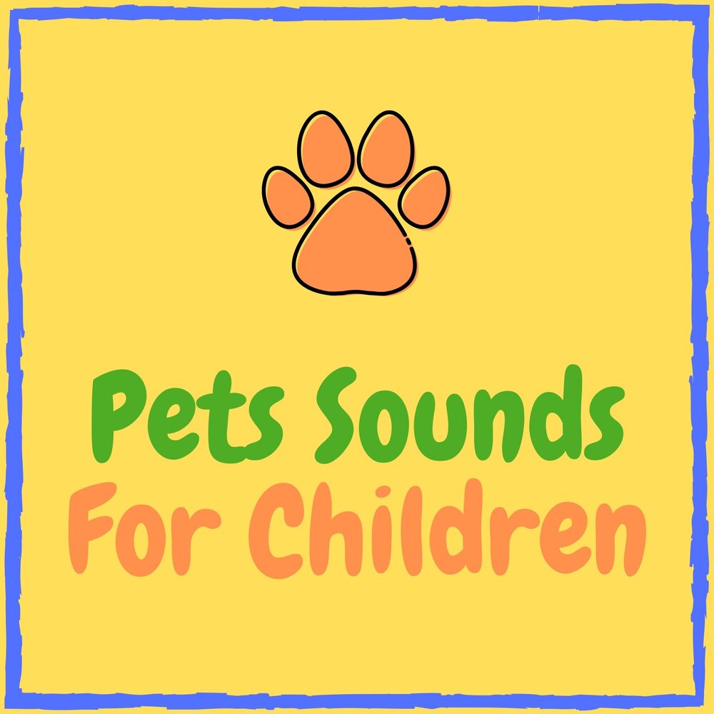 Френд. Pets Song. Friends for pets