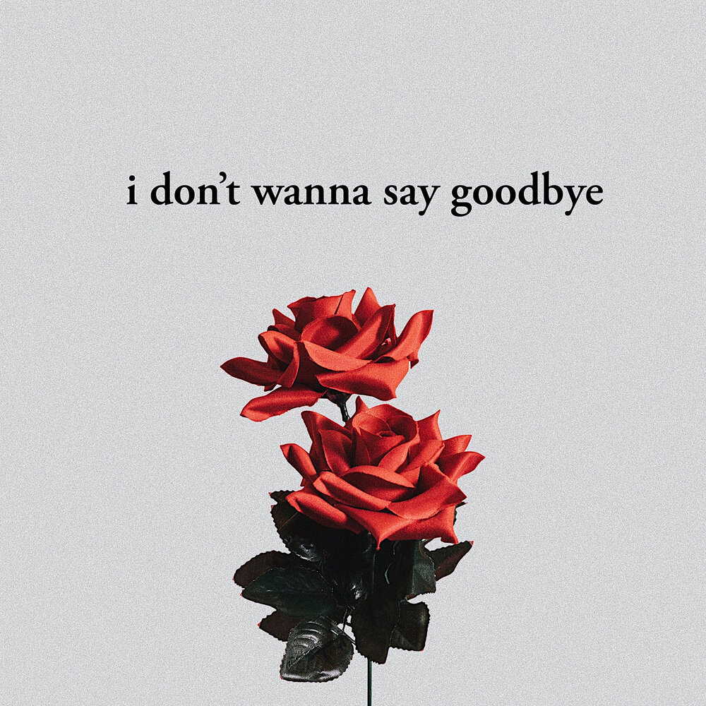 Песня don t goodbye. Don't wanna say Goodbye. Don't wanna say Goodbye песня. Don't you wanna say Goodbye. Accept i don't wanna be like you (Single).