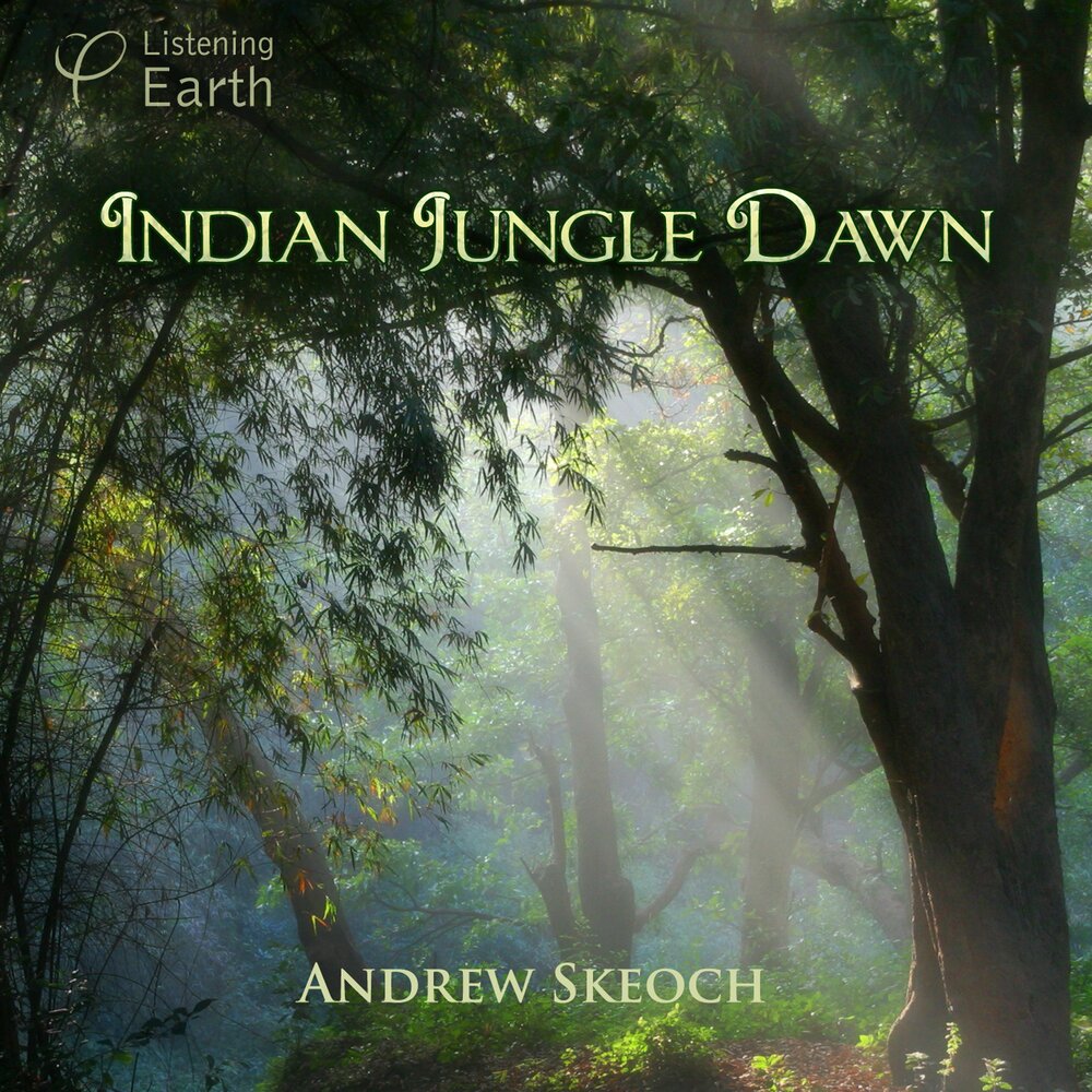 Святые Эндрю джунгли. Dawn Andrews. Andy Jungle.