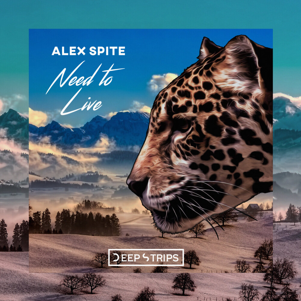 Alex spite. Alex-spite-Sky-Original-Mix. Alex-spite-stranger-Original-Mix. Alex-spite-Sweet обложка. Alex-spite-Alex-Medvedev-Freedom-Original-Mix обложка.