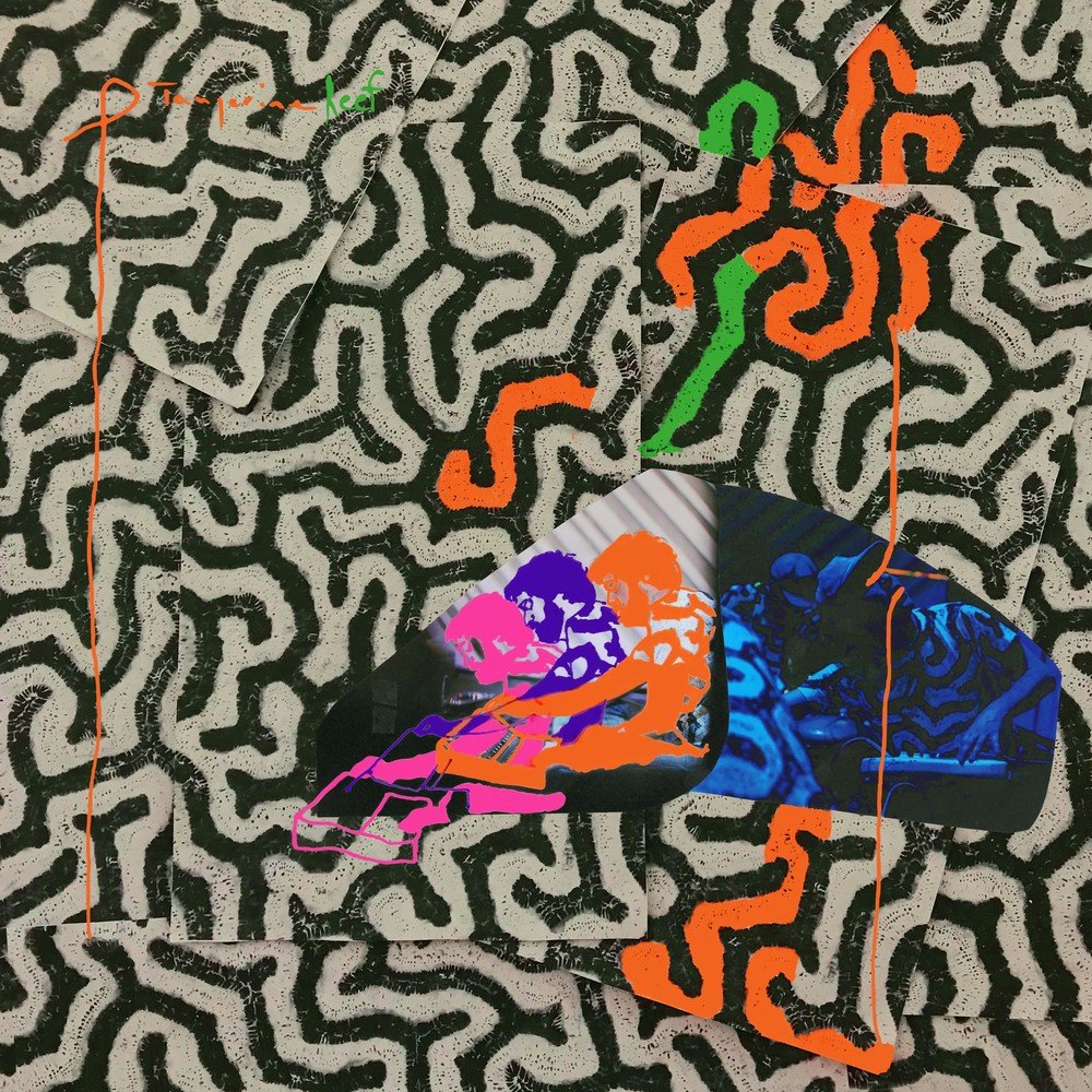 Обложка релиза Tangerine Reef