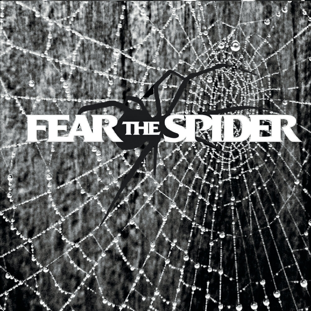 Text about Fear of Spider. Disillusioned.