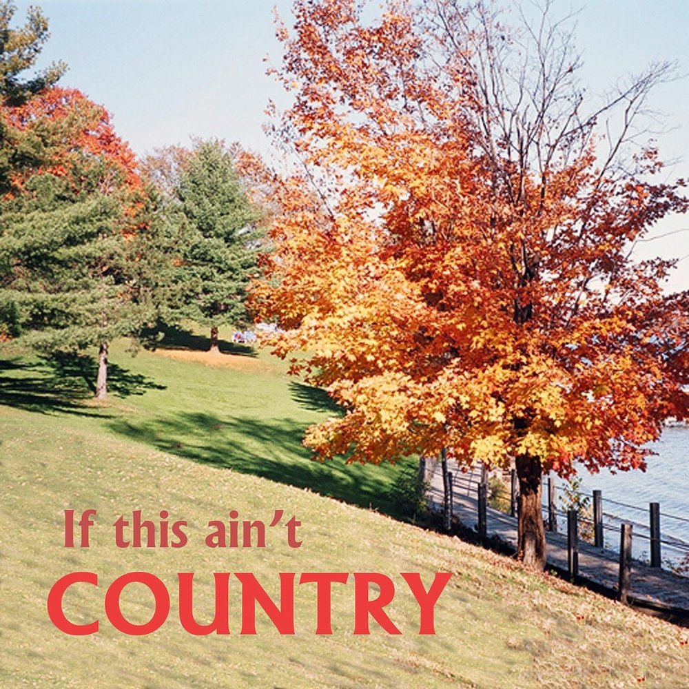 T country