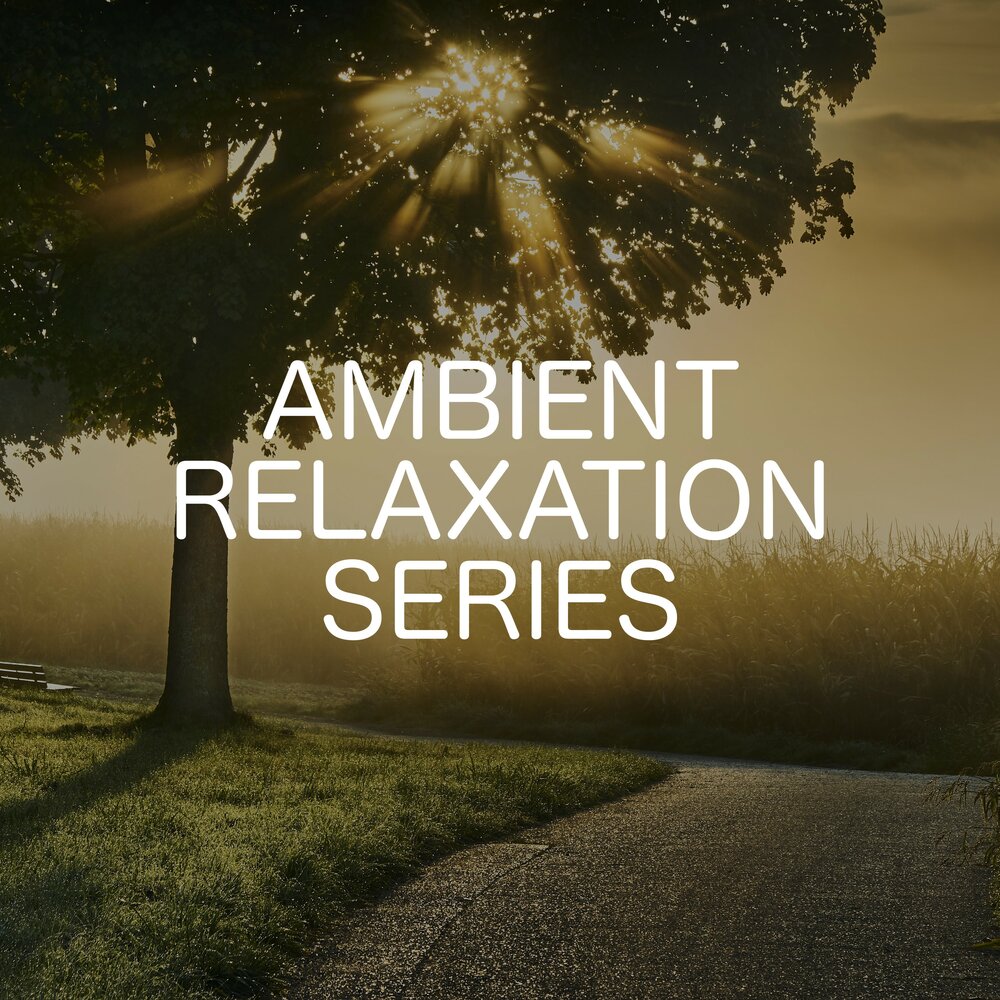 Relax Ambient. Peaceful Ambient nature.