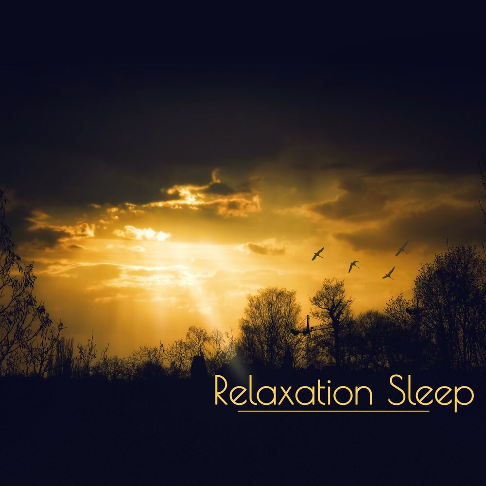 Sleep relax