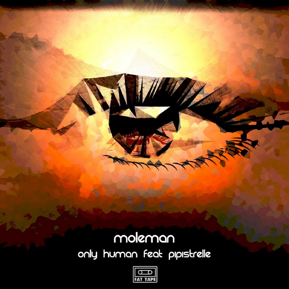 Human feat. Молеман. Only Human. Драман бейс альбом Египет 2010. Album Art download only Human.