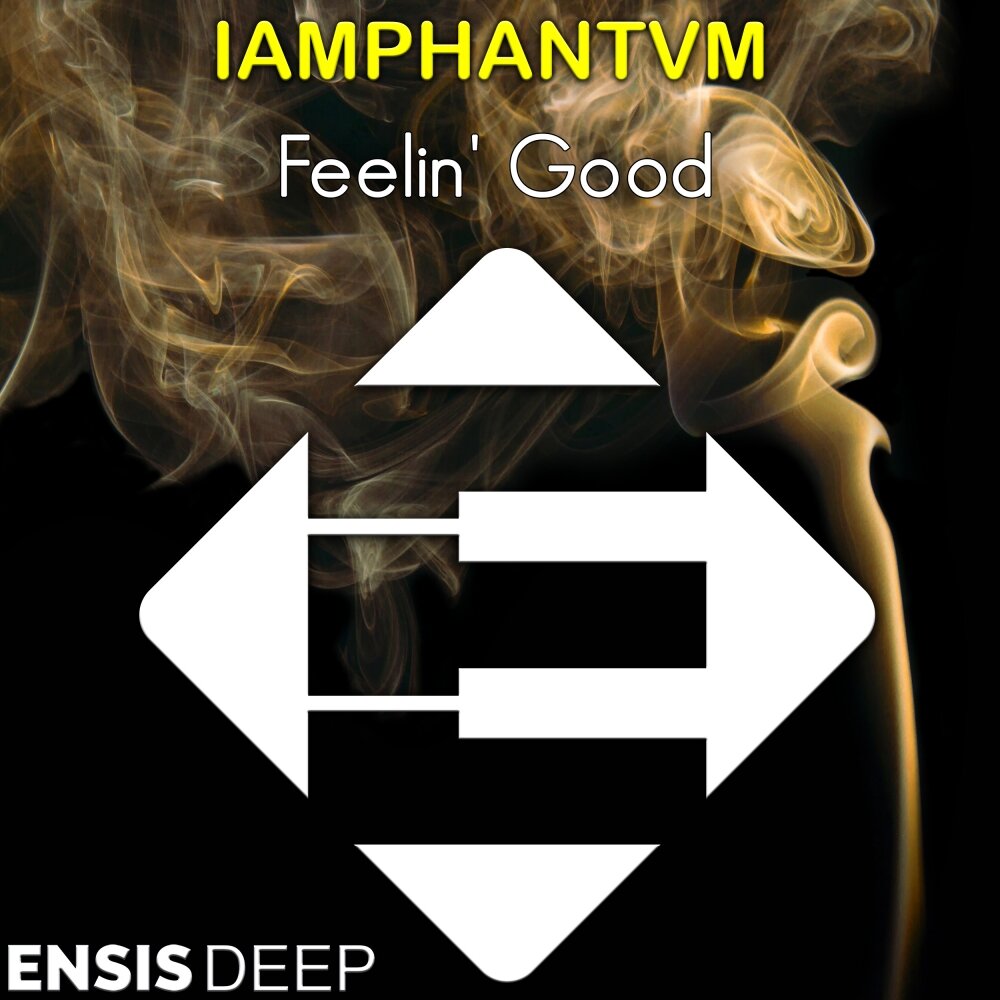 Feeling good text. Feelin под. Тумщч Feelin. Neviks Feelin x. Karizma_-_Feelin'_good_(Original_hard).