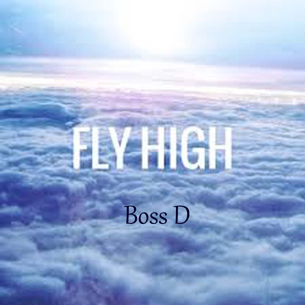 Fly high man