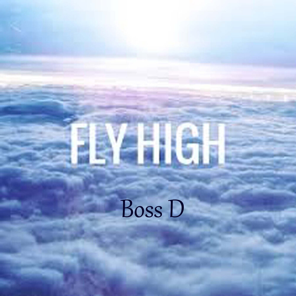 To be fly high. Fly High. Fly High books. Fly High 1. Fly High 4.