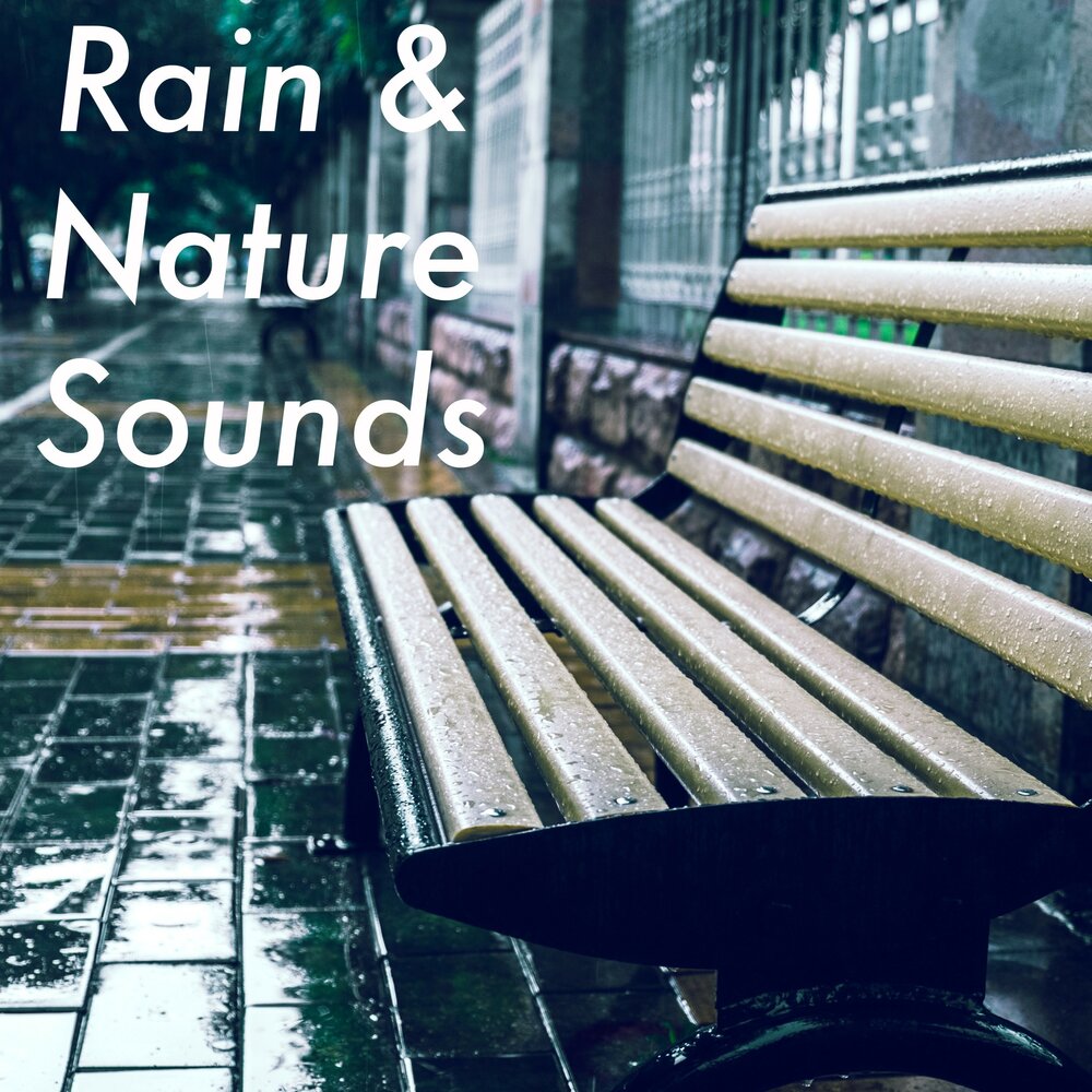 Дождь дзен. Rain nature.