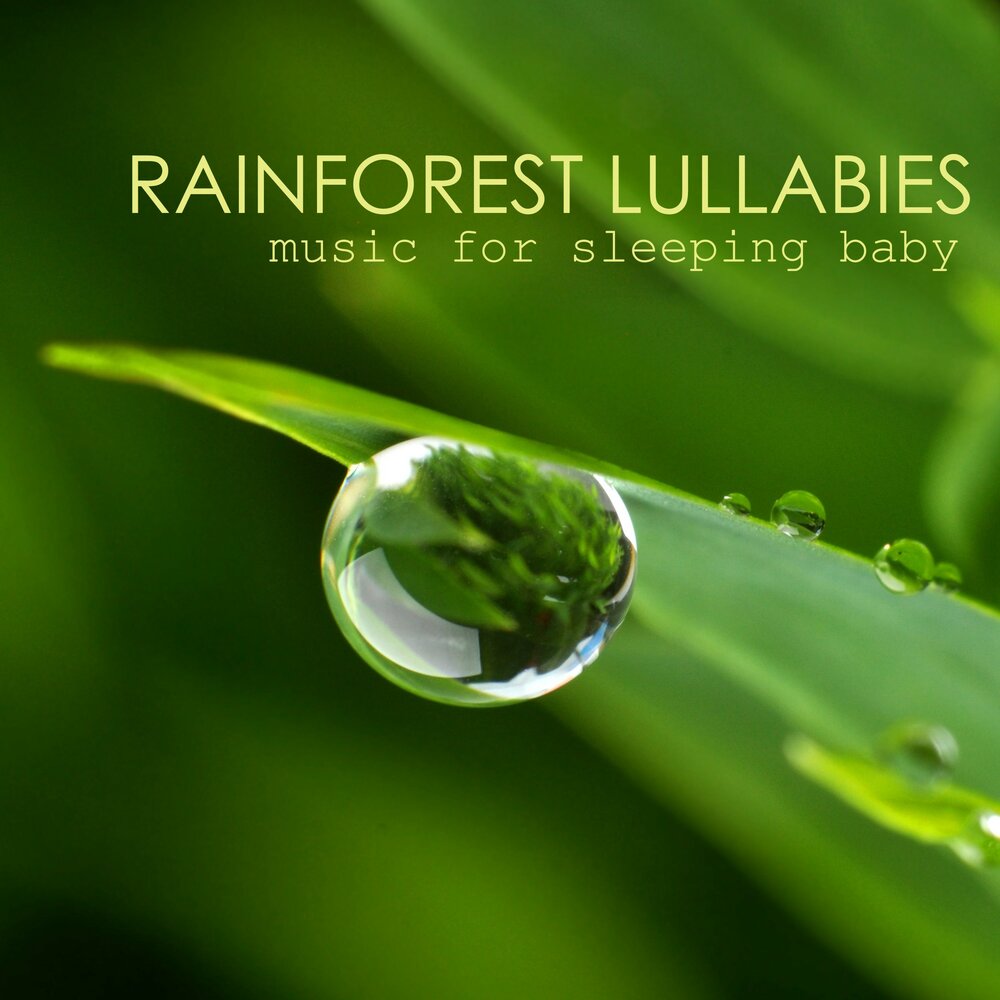 Forest lullaby. Rainforest Music. Dreams in Greens.