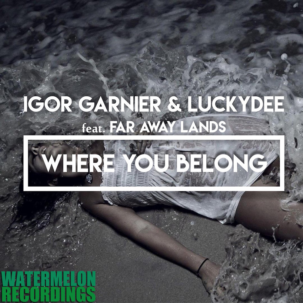 Where you belong. Igor Garnier feat. Minja. Where you belong фото. The Faraway Land. Пагги where you belong.