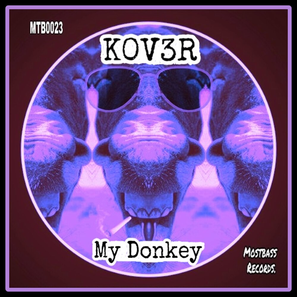 R3hab crazy donkey are you happy now. My donkey, my lover &amp; i.