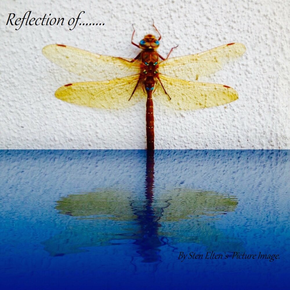 Reflection mp3. Reflection песня. Reflection of you. Reflection Song.