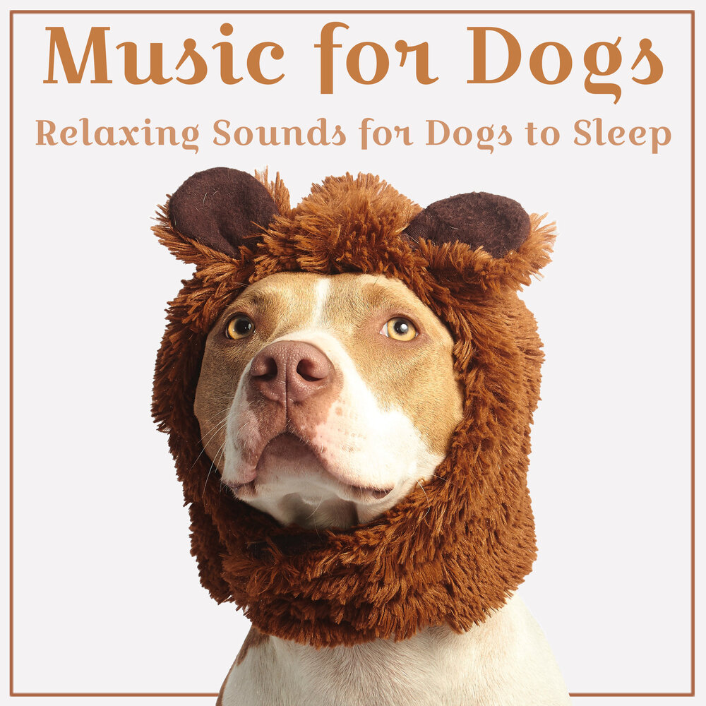 Dog music. Щенки дискография. Music Dog. Zone for Relaxation for Dogs. Pups Zone.